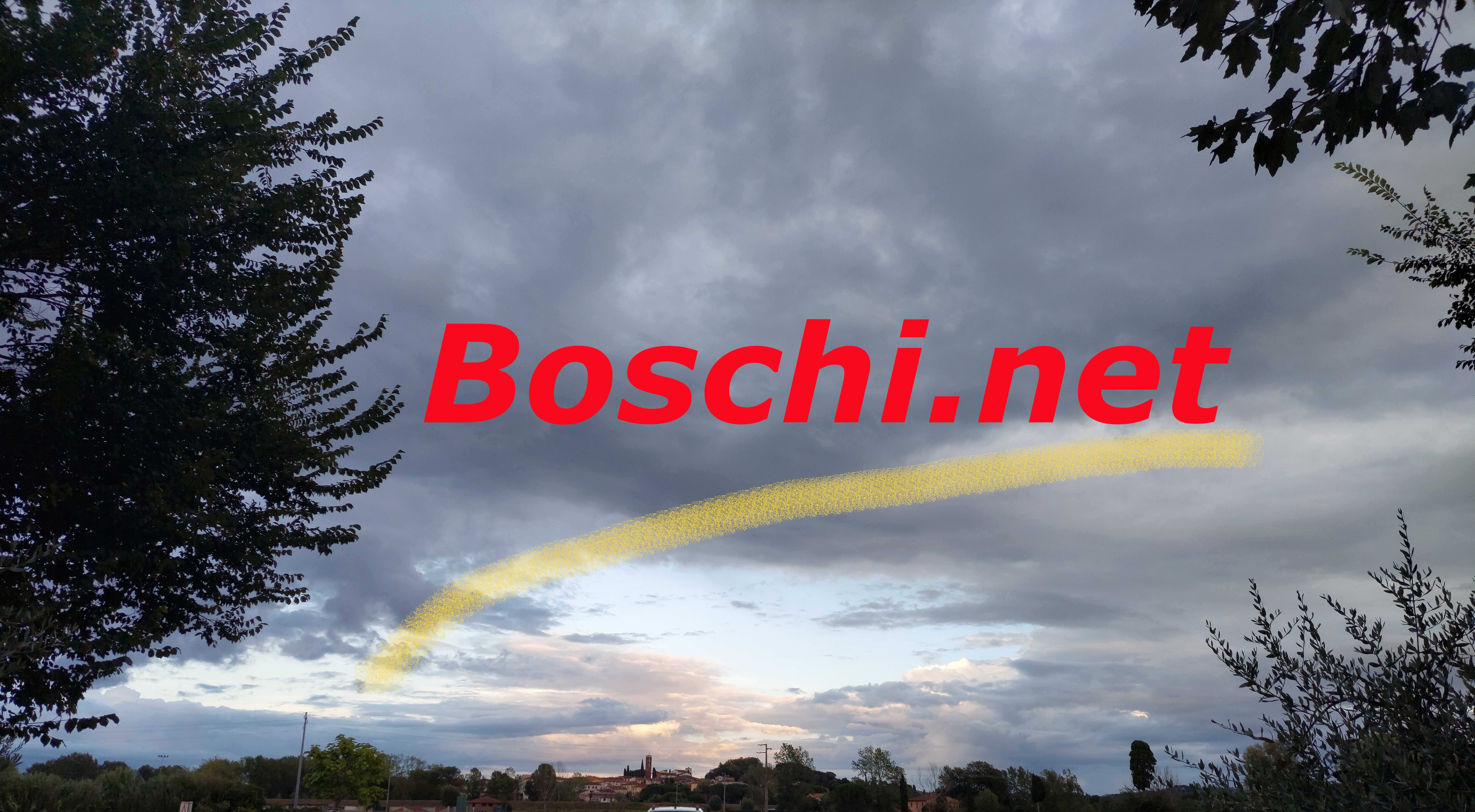 BoschiNet